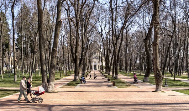 Городской парк культуры и отдыха