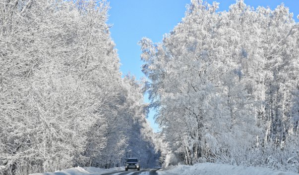 Каштакский бор