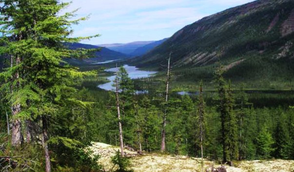 Ненецкий заповедник в Печорском море