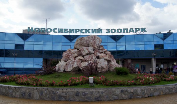 Новосибирский зоопарк