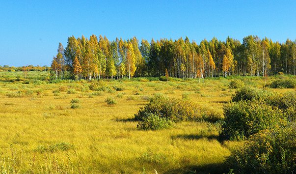 Остров Пийрисар