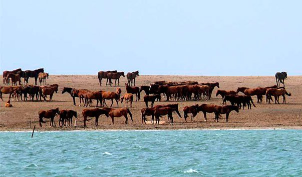 Остров Водный