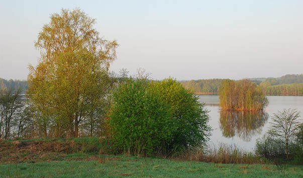 Озеро Алё Бежаницкого района