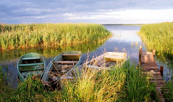 Озеро Белогули