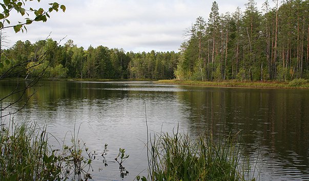 Озеро Паасынлор