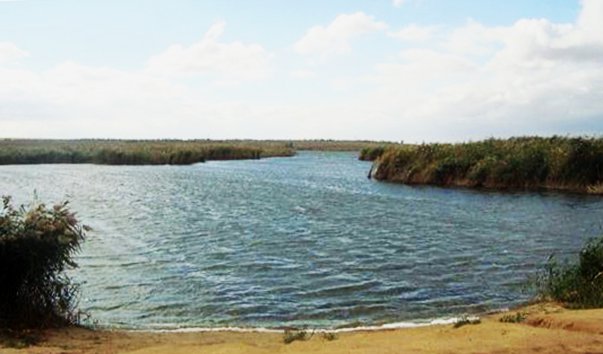 Сарпа озеро волгоградская область. Озеро Сарпа Волгоград Красноармейский.