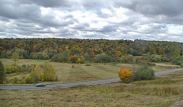 Природный парк «Долина реки Сходни в Куркино»